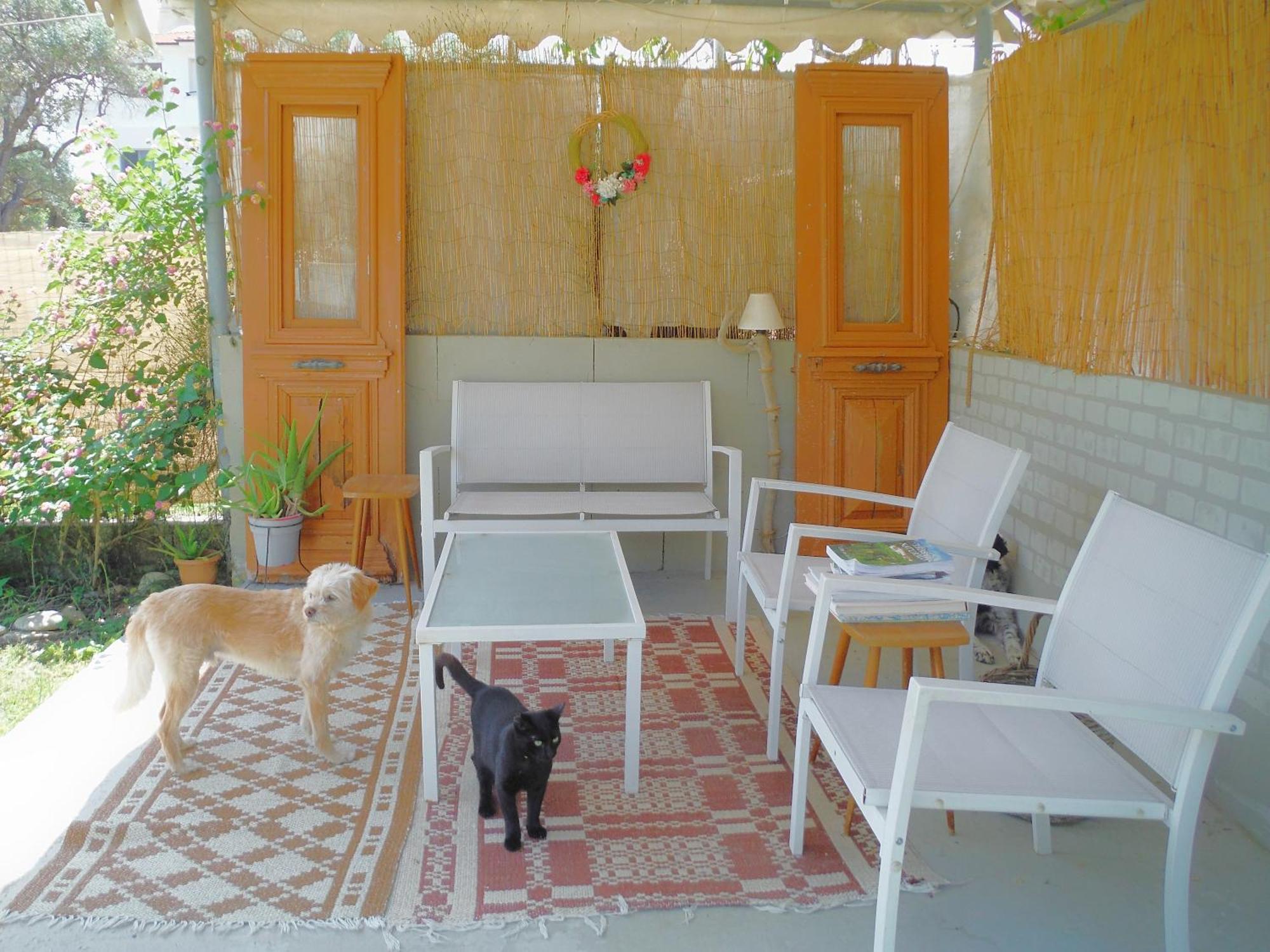 Port Pet Friendly Guest house Limenas (Thasos)