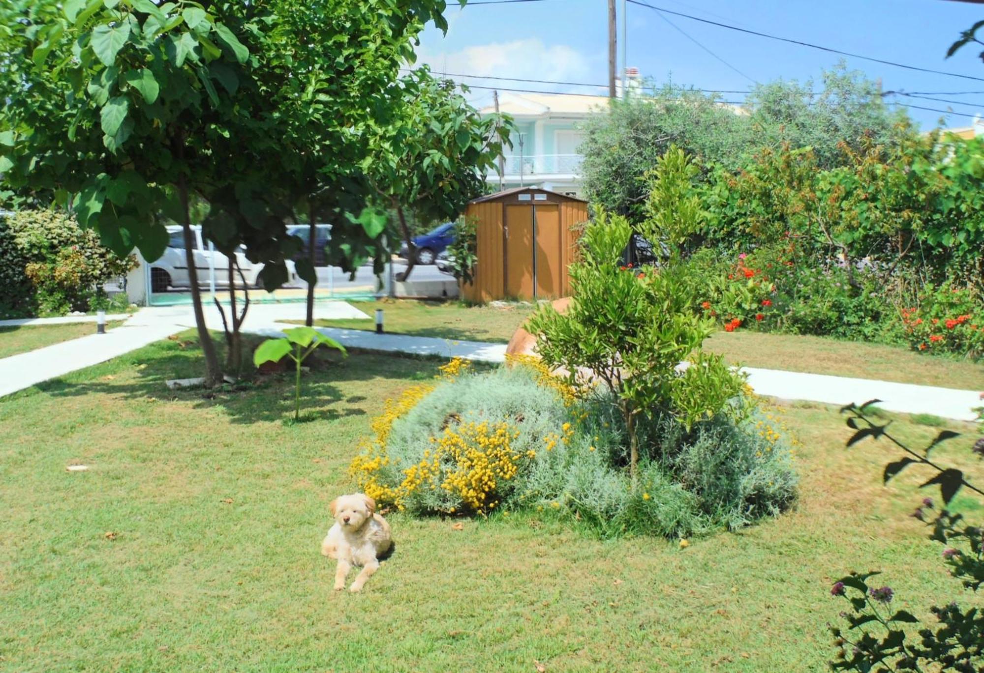 Guest house Port Pet Friendly