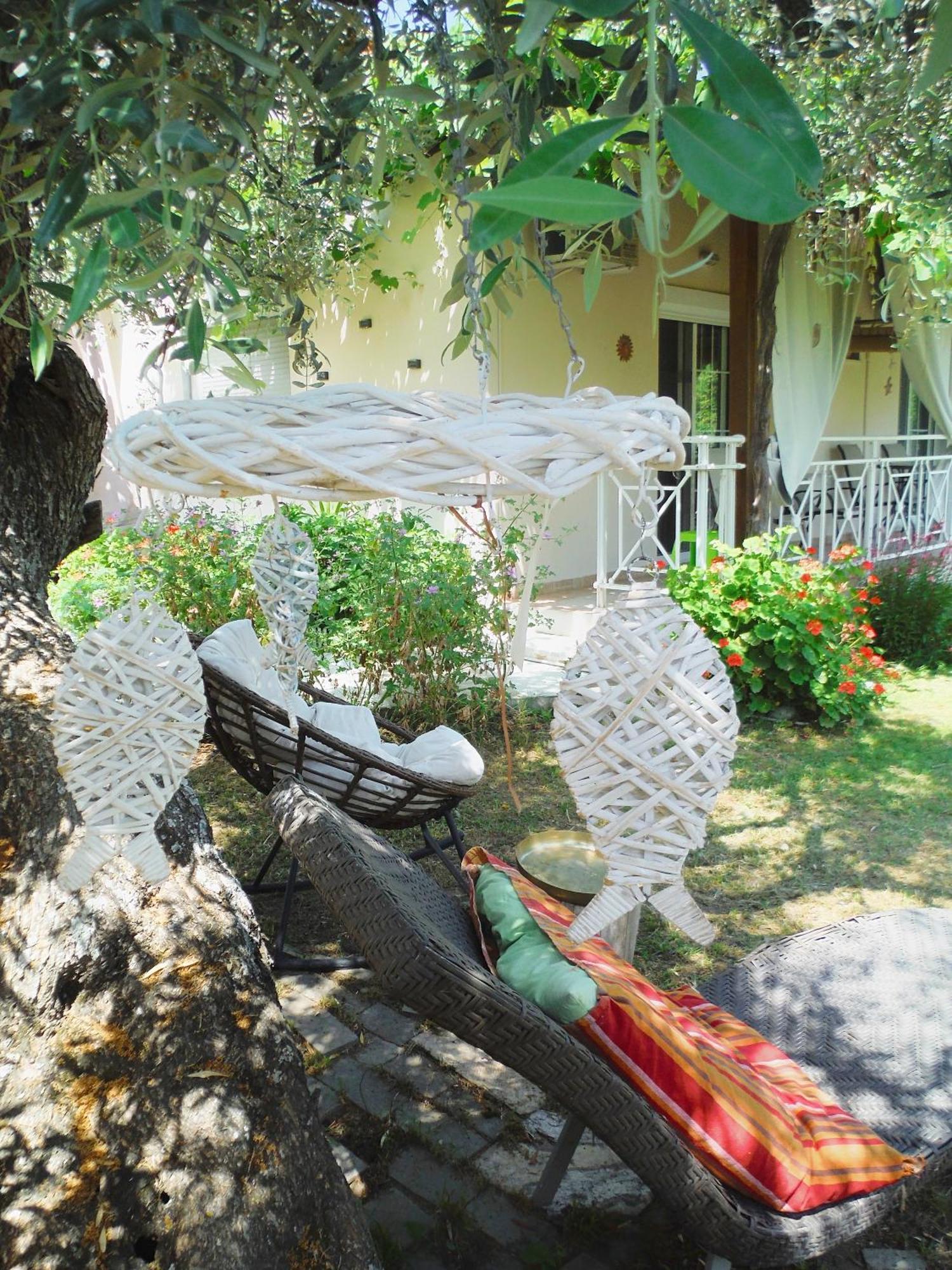 Port Pet Friendly * Limenas (Thasos)