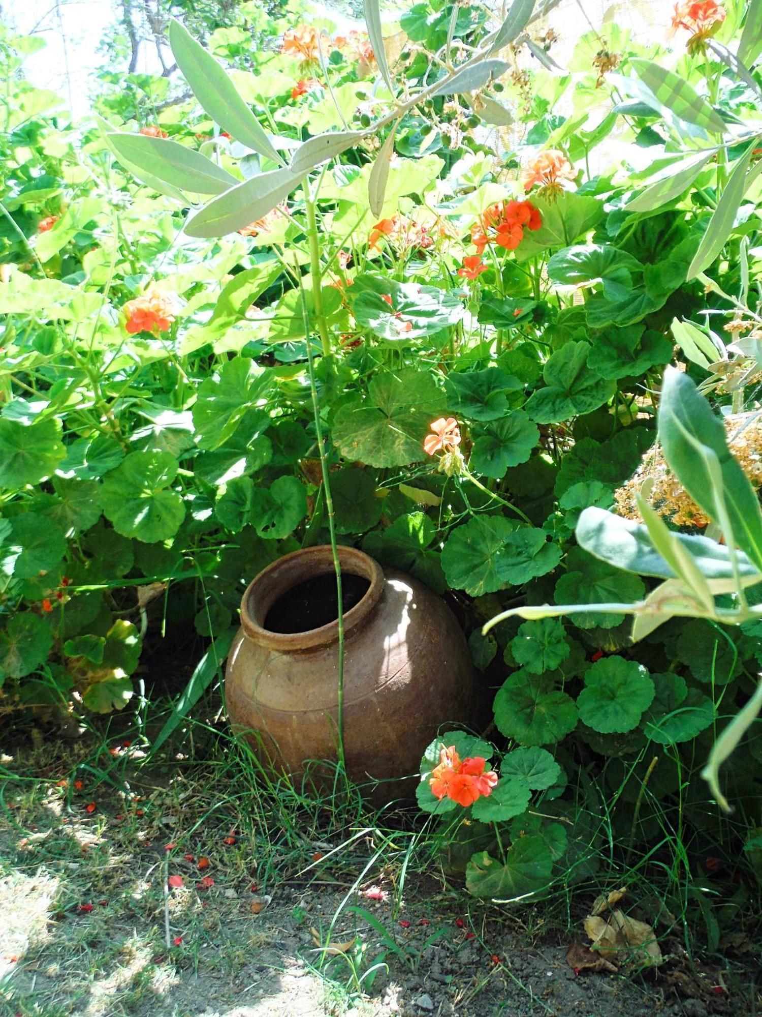 Port Pet Friendly Guest house *