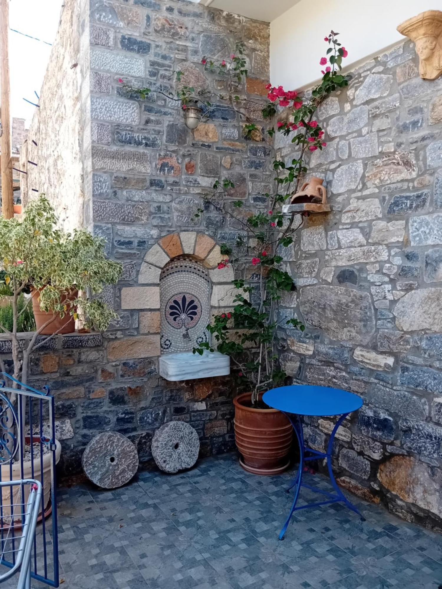 Fig Leaf House *