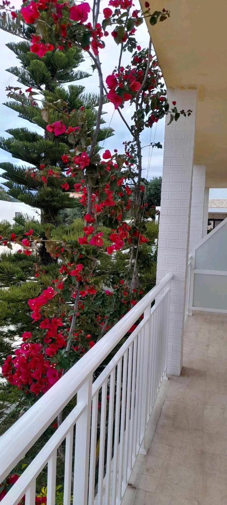 Angelos Apartment's Arillas (Corfu)