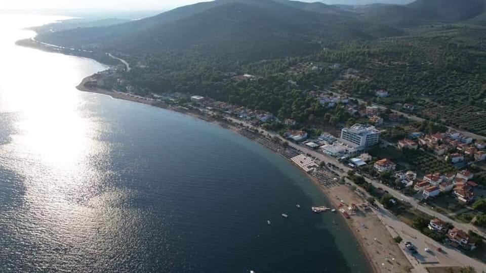 Apartment Pefkonas 100 M From The *