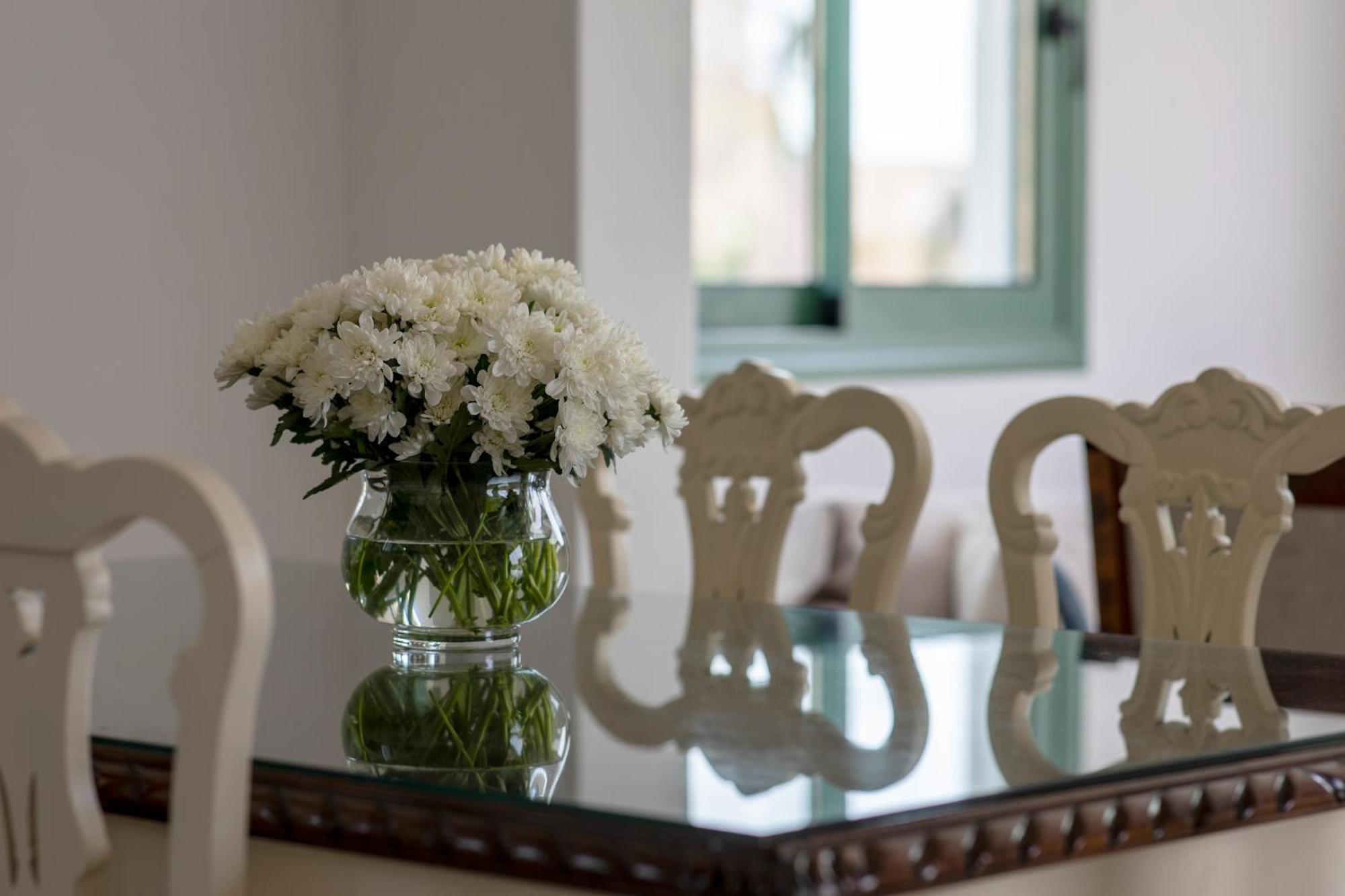 Cheloni Manor House Apartment Kapotidhes