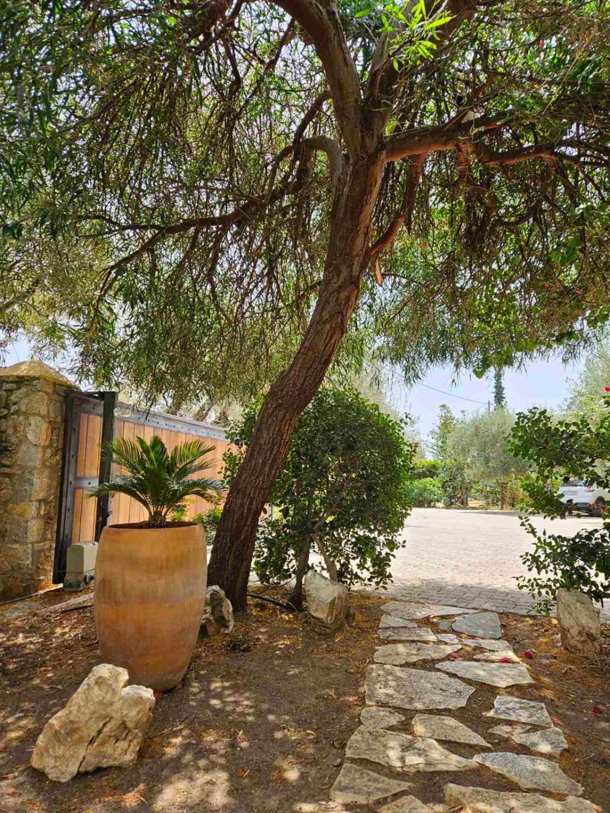 Orestis' Family House Apartment Ermioni