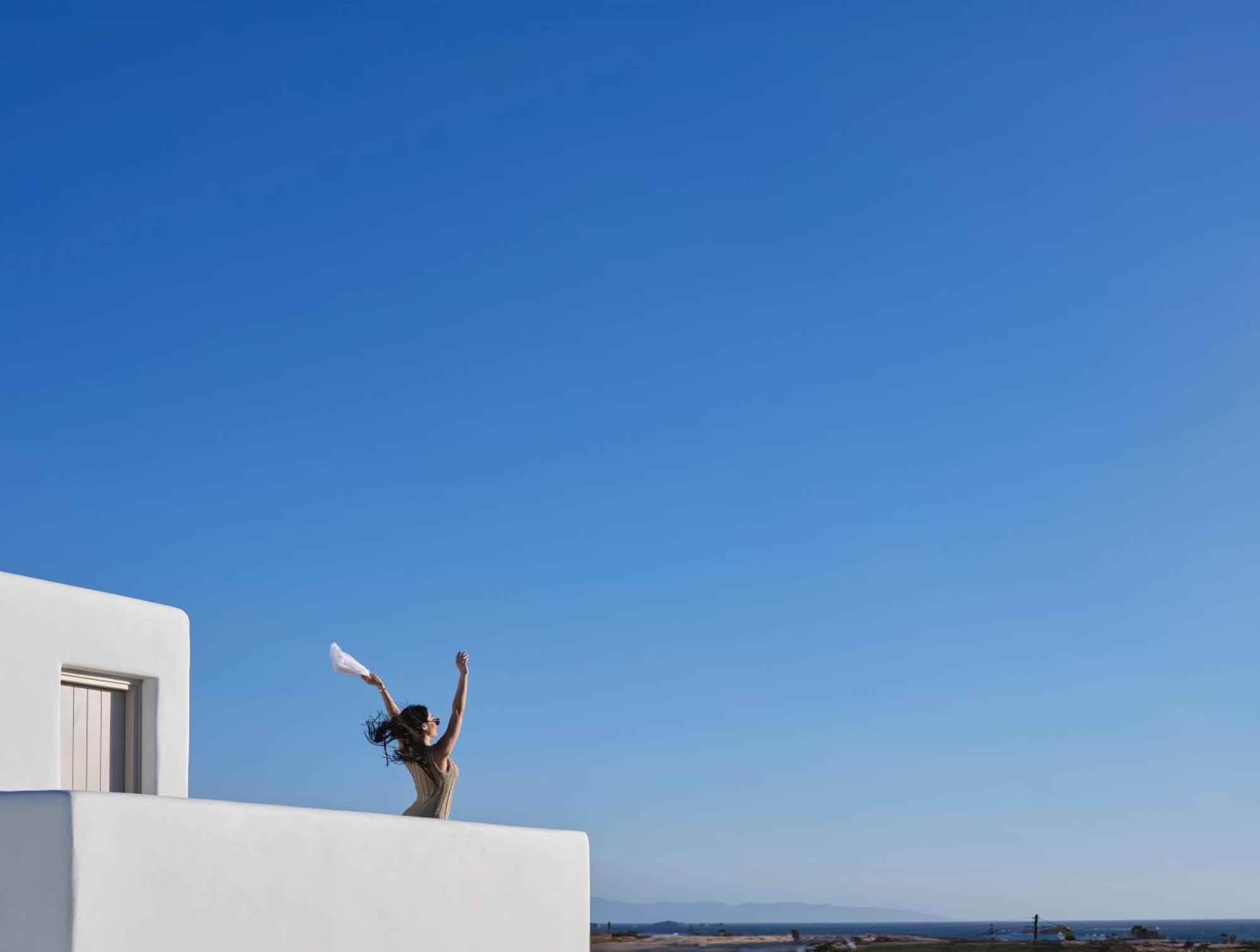 Maestro Naxos *