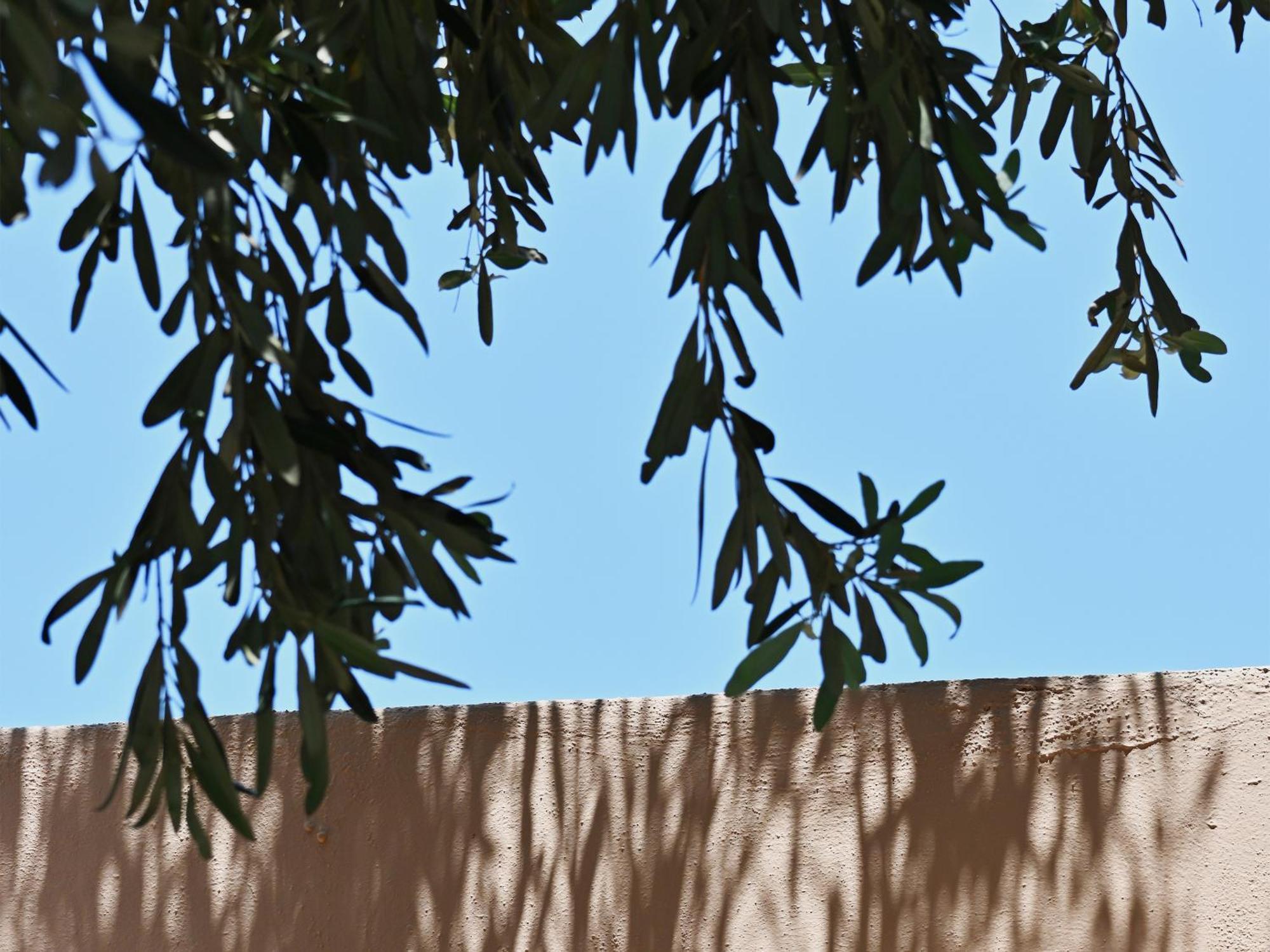 Cape Sounio, A Grecotel To Live Resort 5*