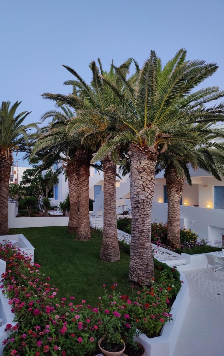 Aparthotel Sagterra Naxos City