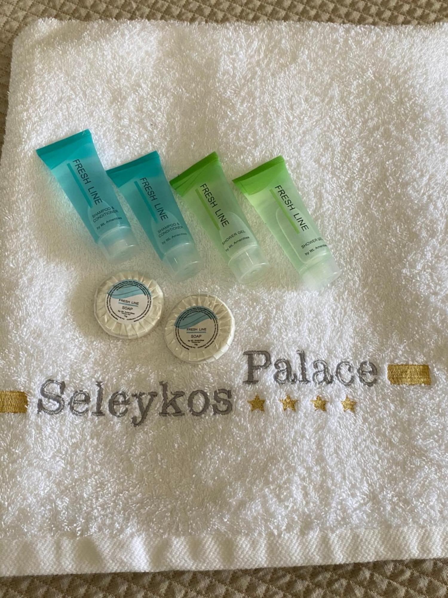 Hotel Selefkos Palace
