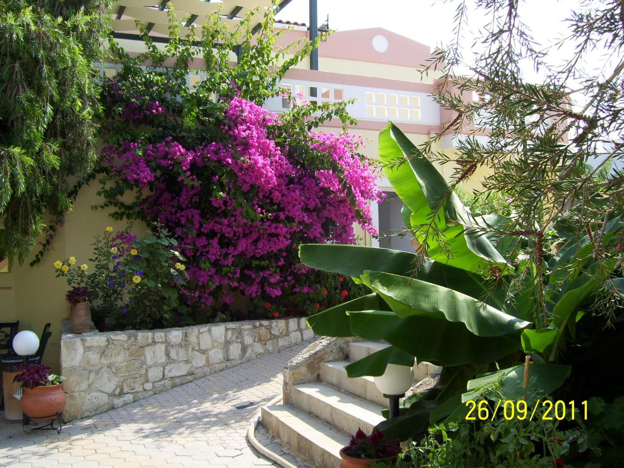 Aparthotel Apelia Agia Marina (Crete)