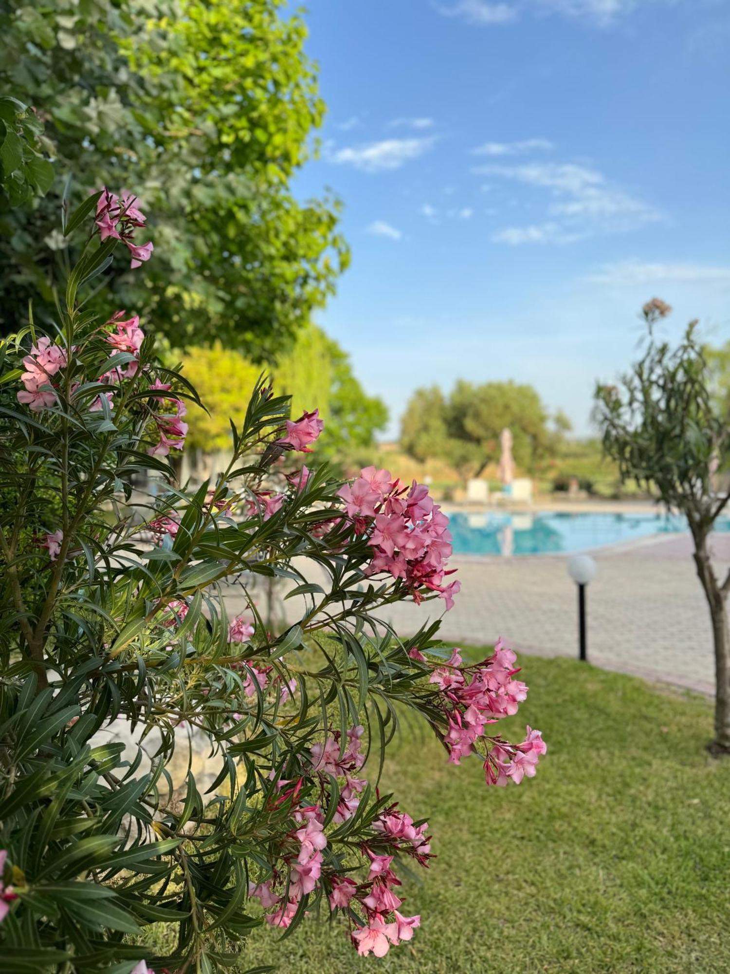 Dafnes Guest house Fourka