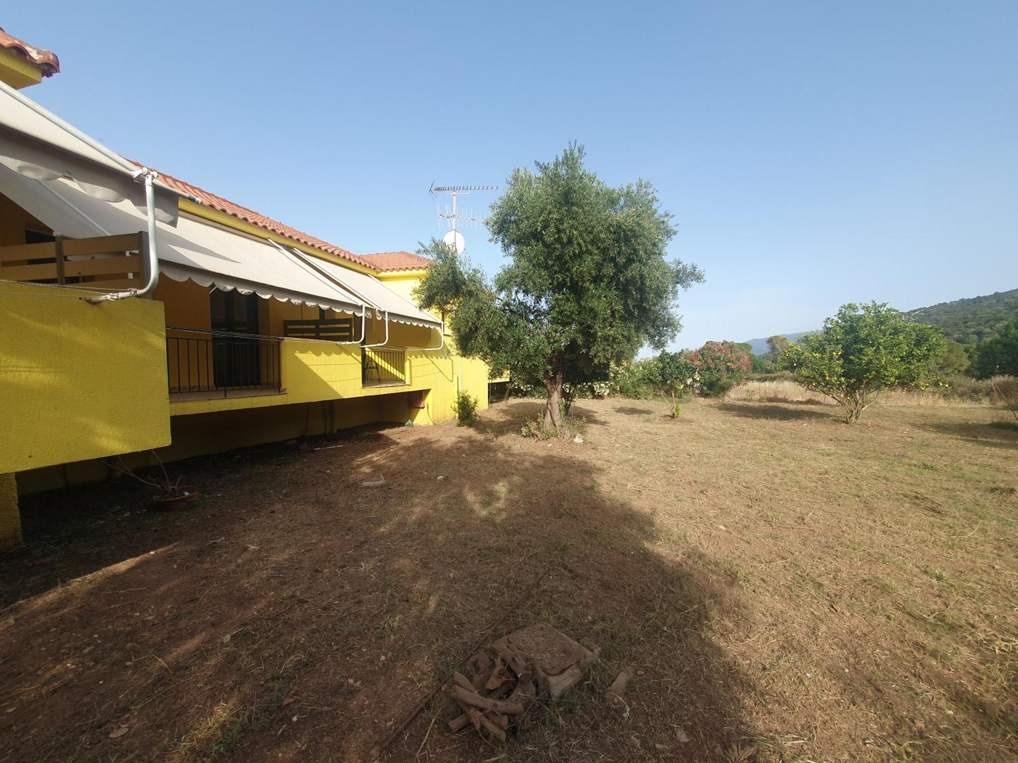 Countryside Studios * Agia Efimia