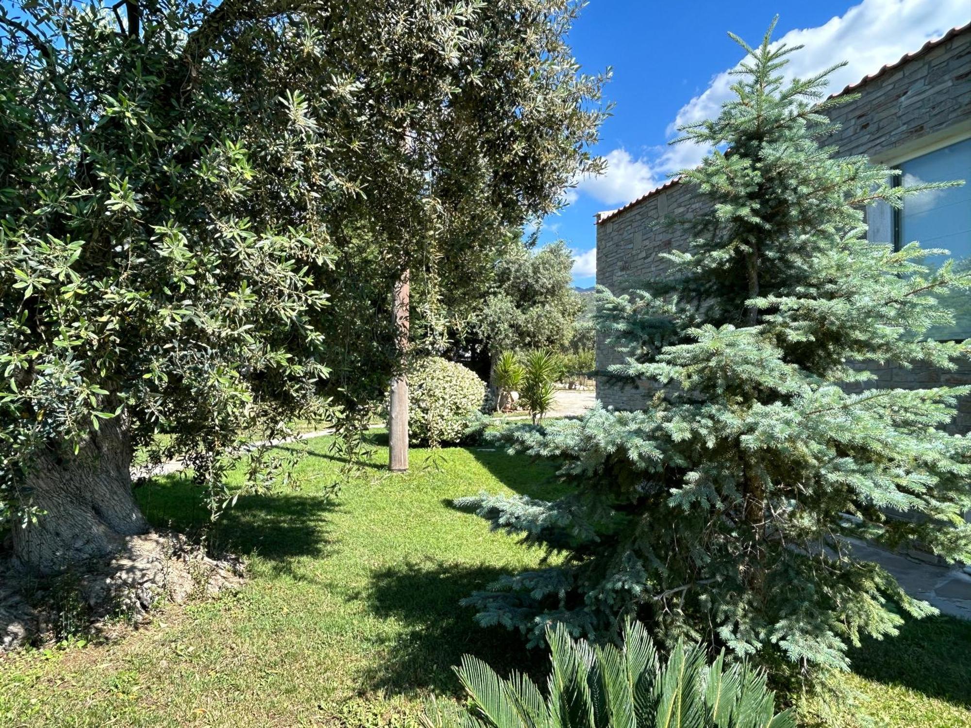 Arhondula Villa *