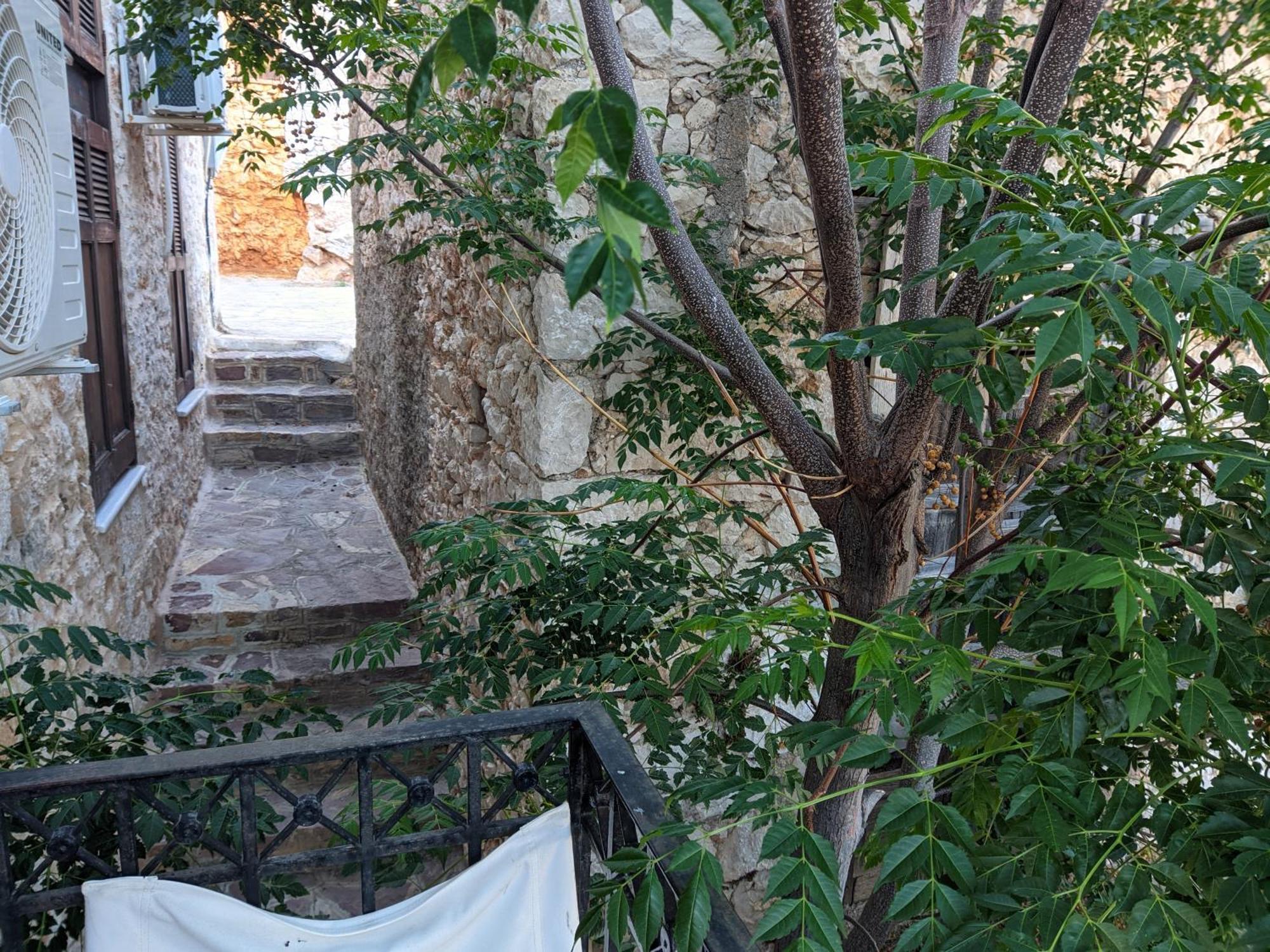 Apartment Rosalia