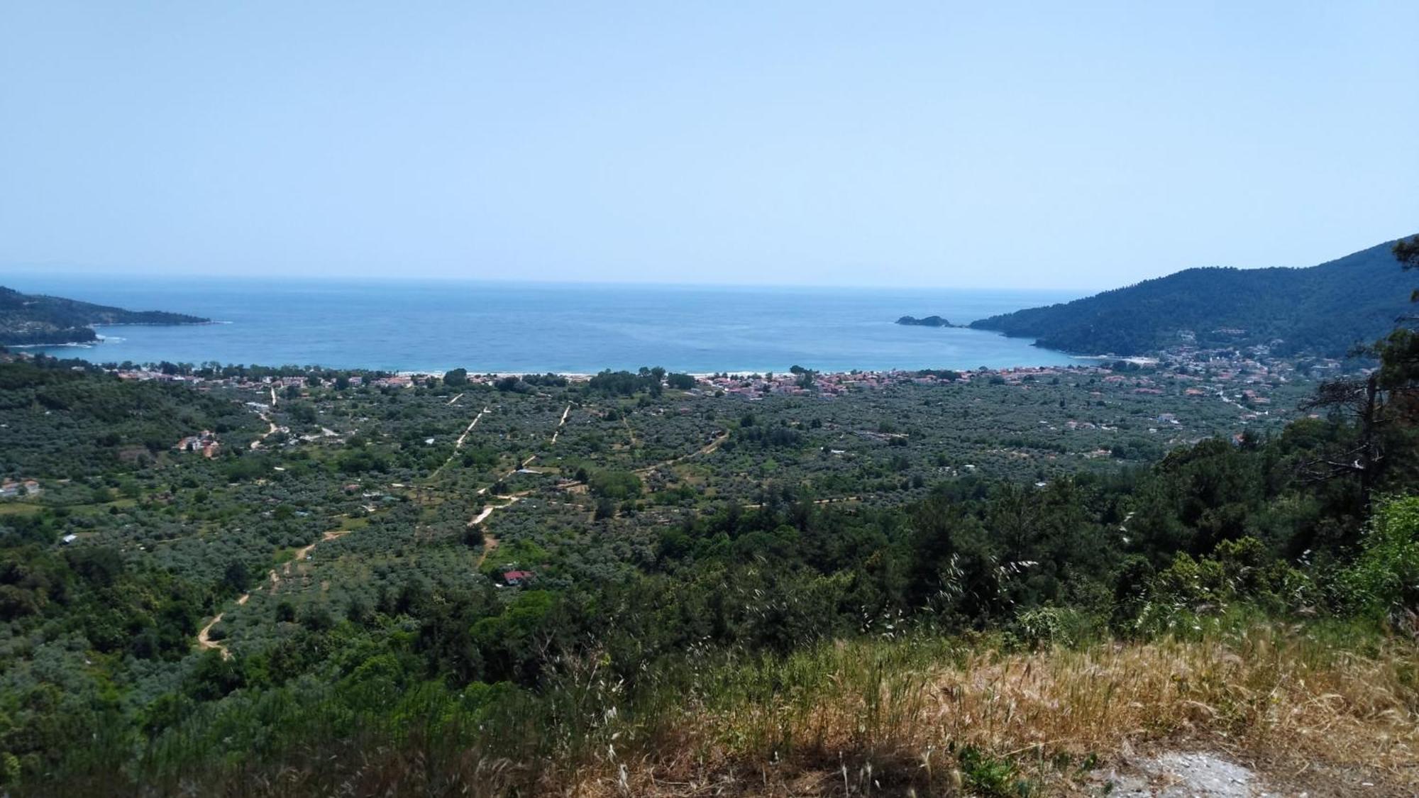 Harmony & Aparthotel Skala Potamia (Thasos)