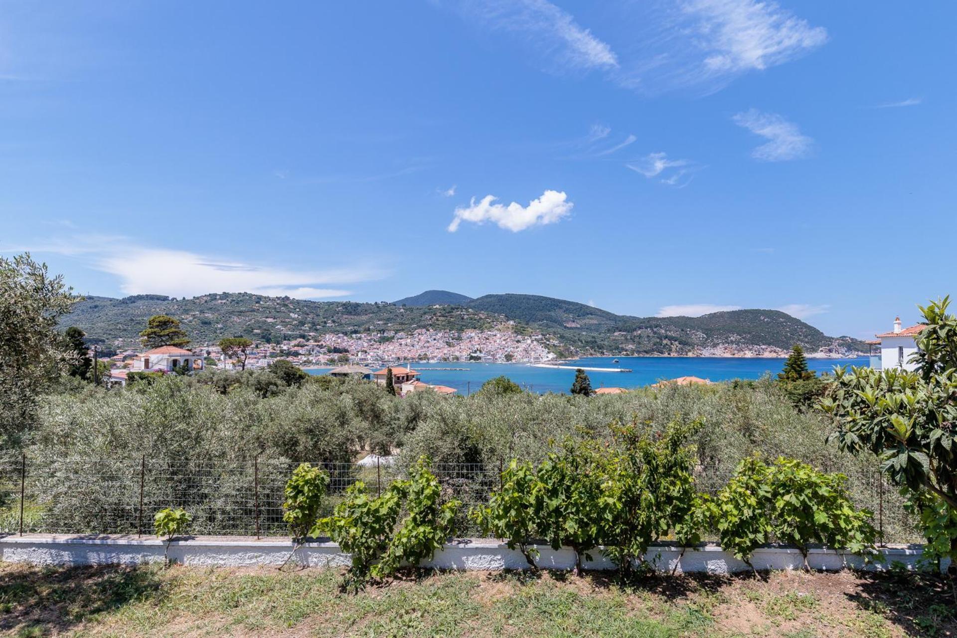 Apartment Anesis 1 Panormos (Skopelos)