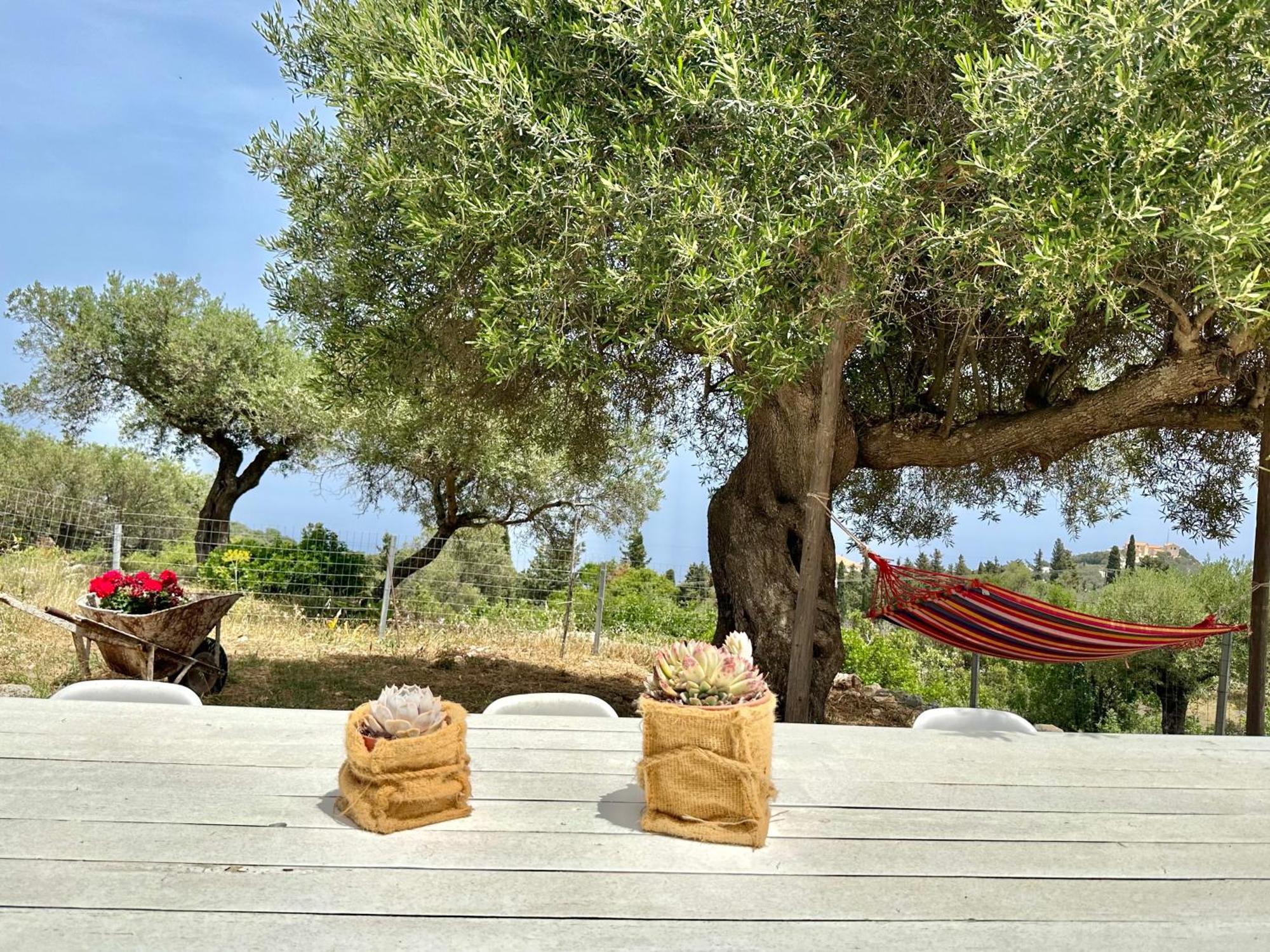 Trikoupis Agios Nikolaos (Zakynthos)