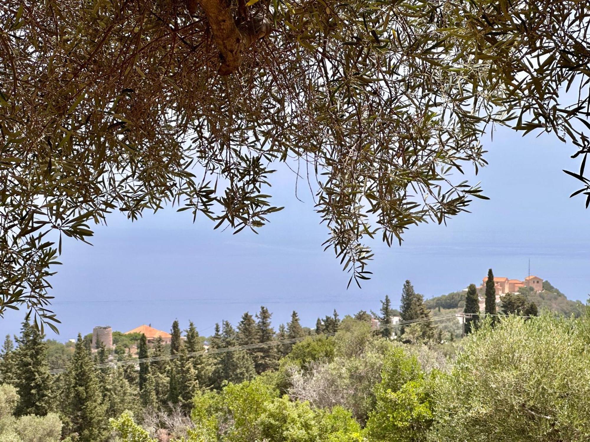 Trikoupis Villa *