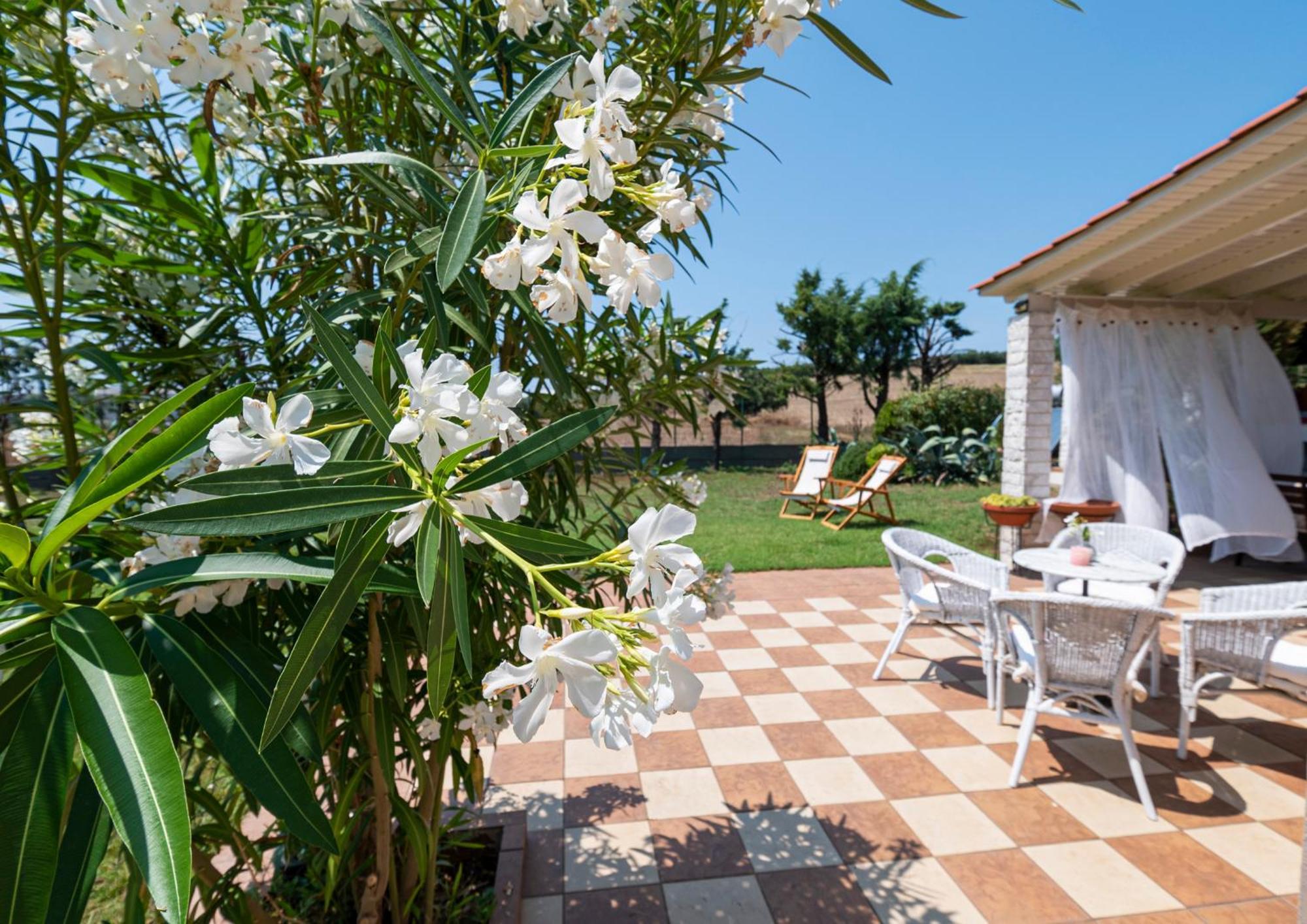 Alex & Billy House By Travel Pro Services - Nea Flogita Halkidiki *