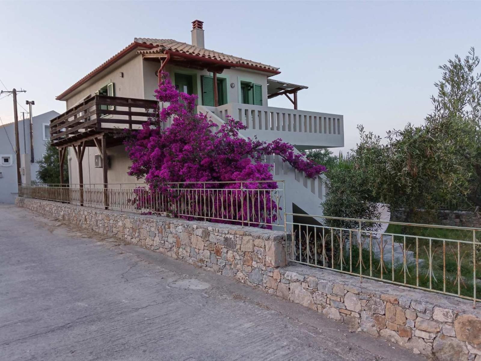 Boucamvillia's Luxury House *