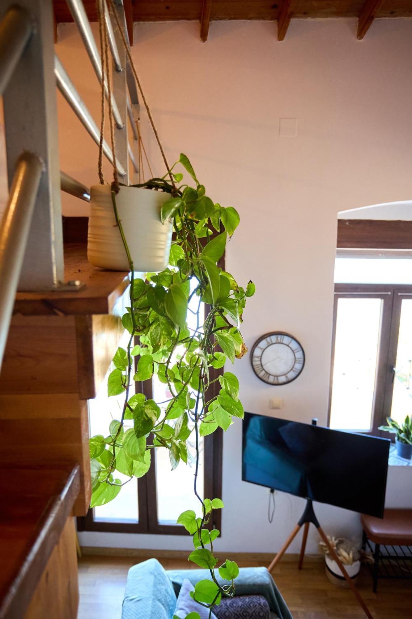 Windmills Chios Apartment