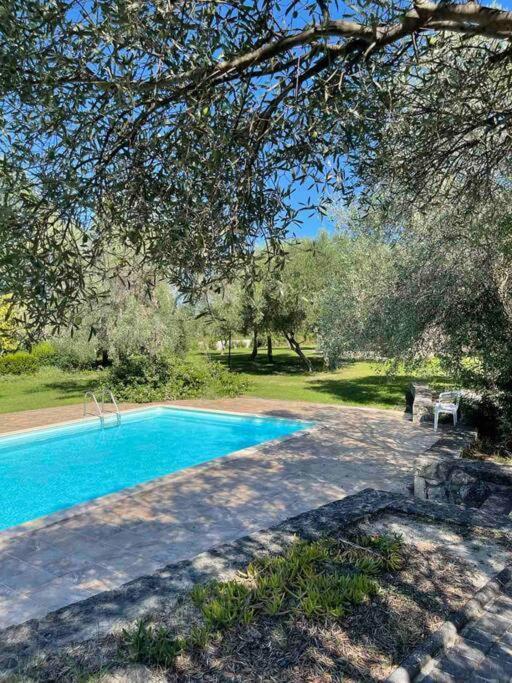 Stylish Pool Konstantinidis Complex * Hanioti