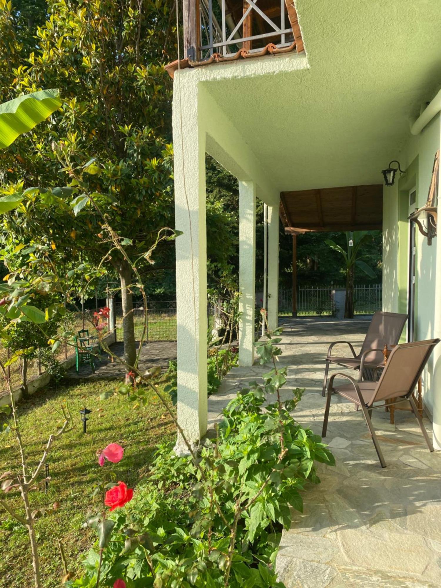 Villa-litsa
