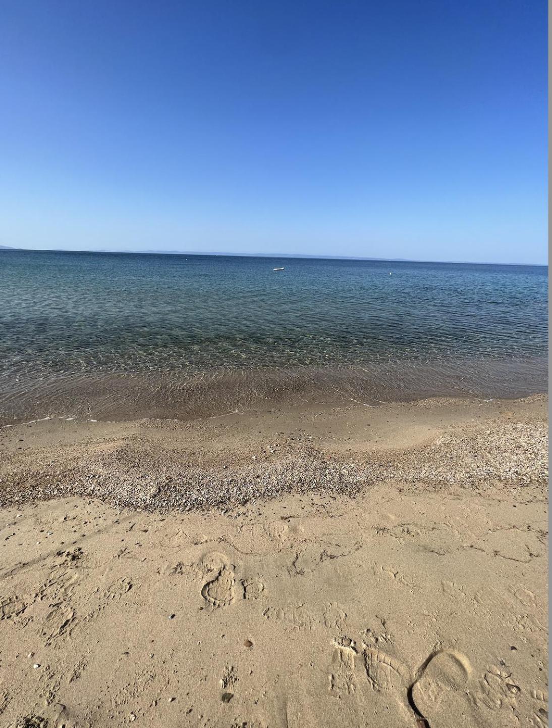 Apartment Homes 100m From