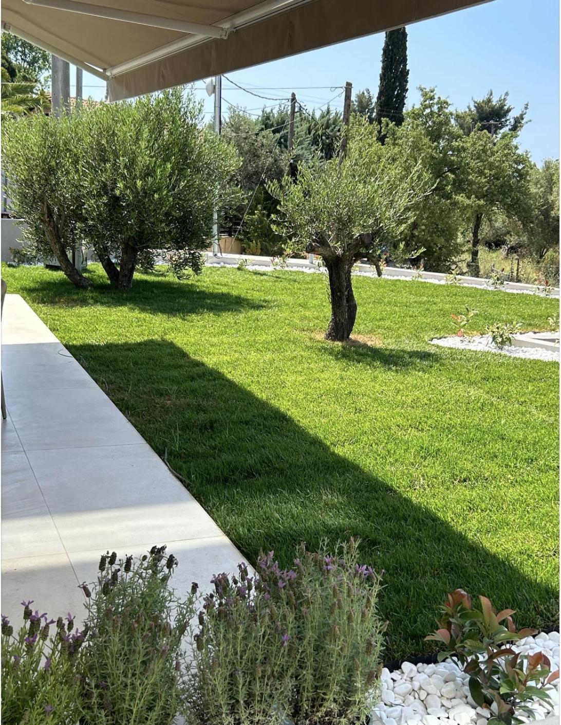 Homes 100m From Nikiti (Sithonia)