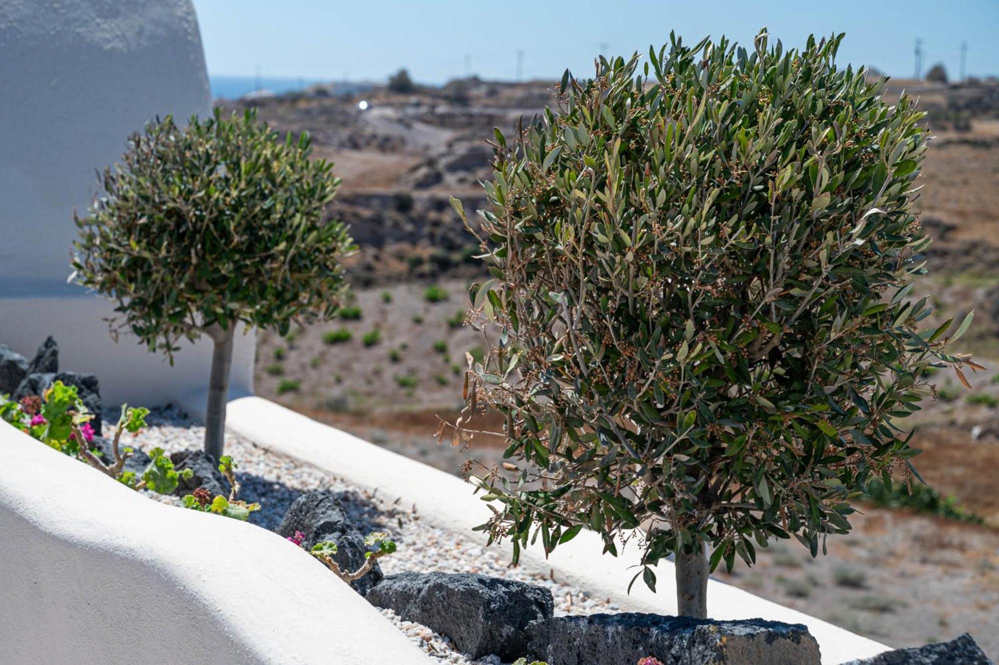 Chora Fira (Santorini)