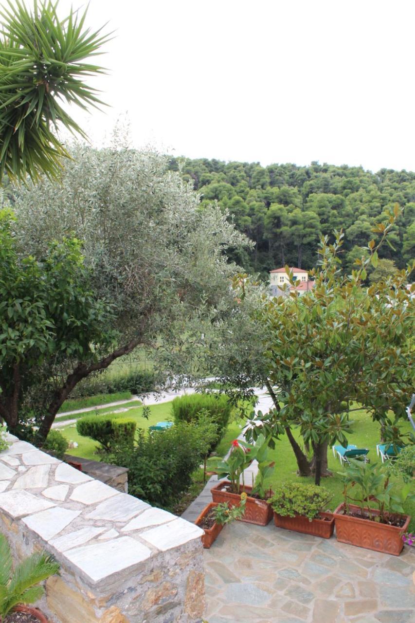 Pine Trees 2*