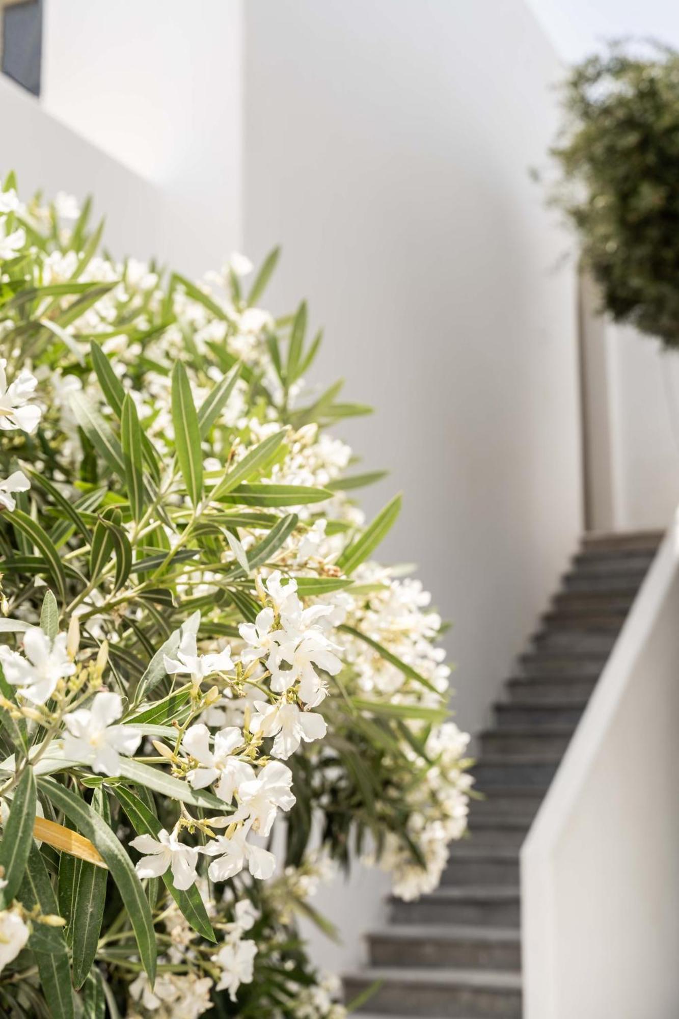Philosophy Of Mykonos Boutique Hotel 3*