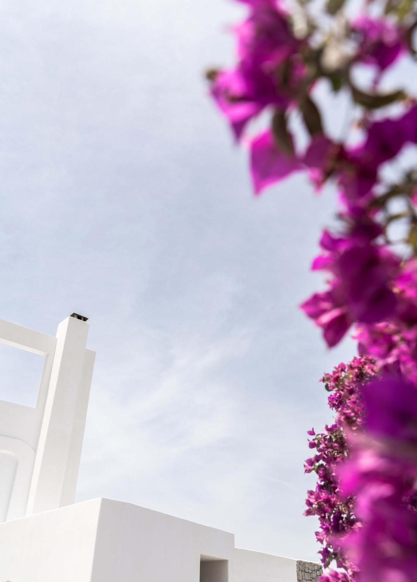 Hotel Philosophy Of Mykonos Boutique