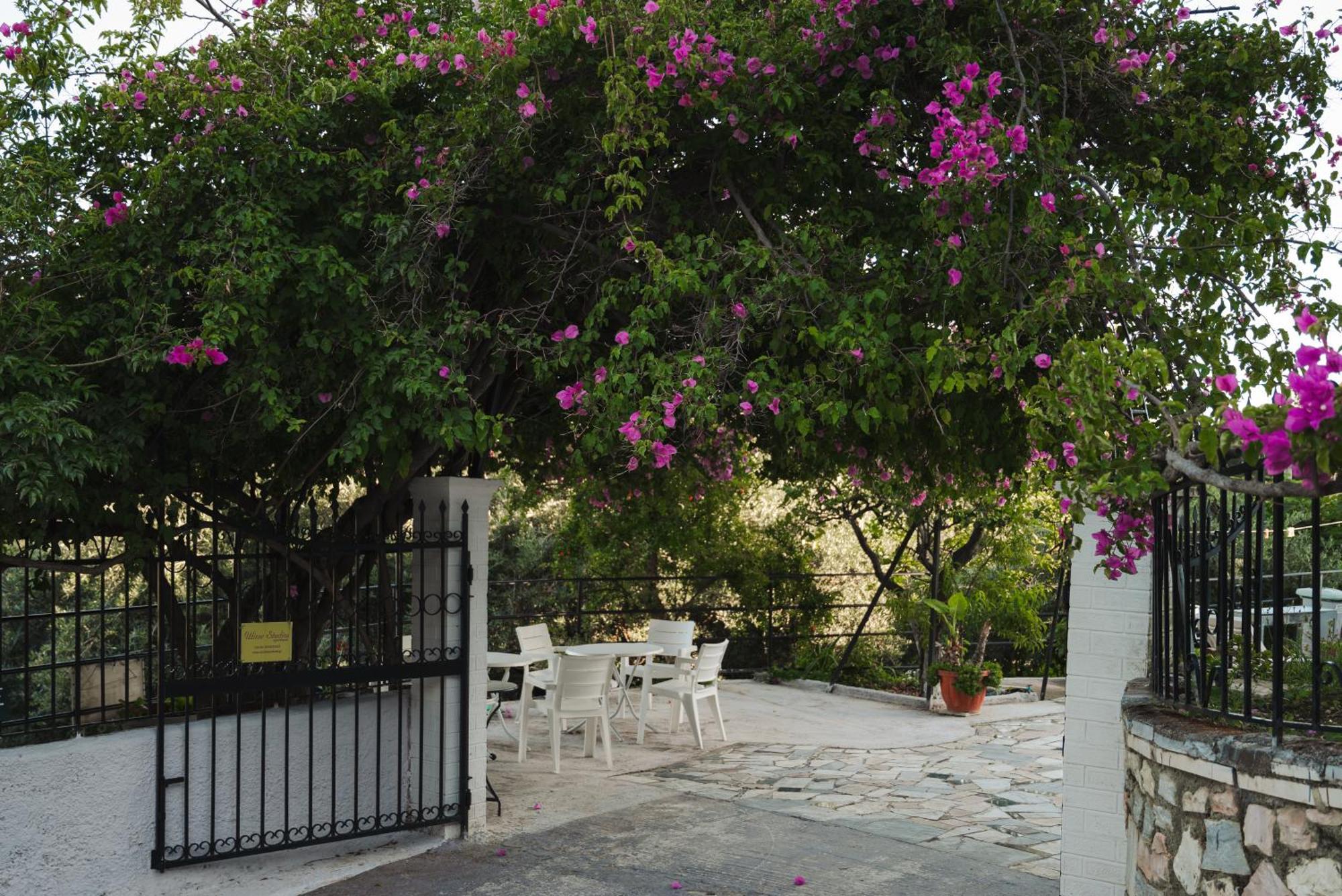 Ulisse Apartment Paleokastritsa