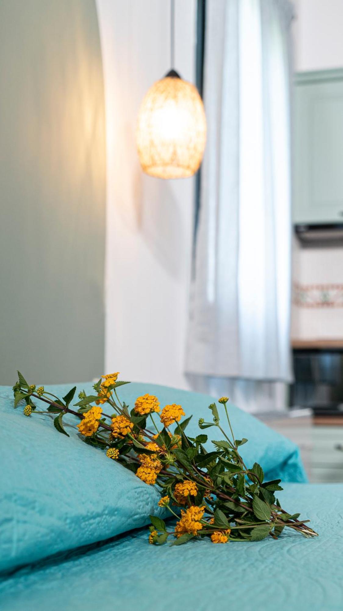 Lithoessa Guest house *