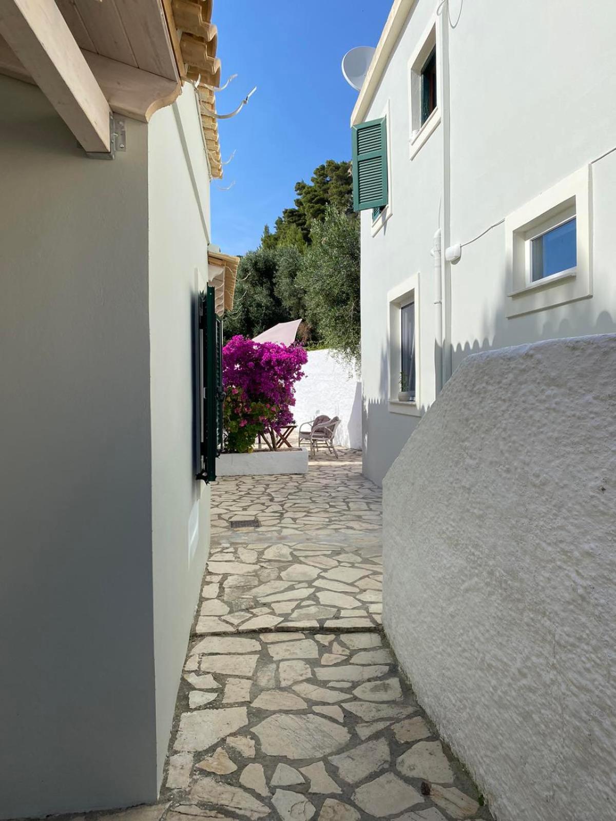 Vicky's Panoramic View