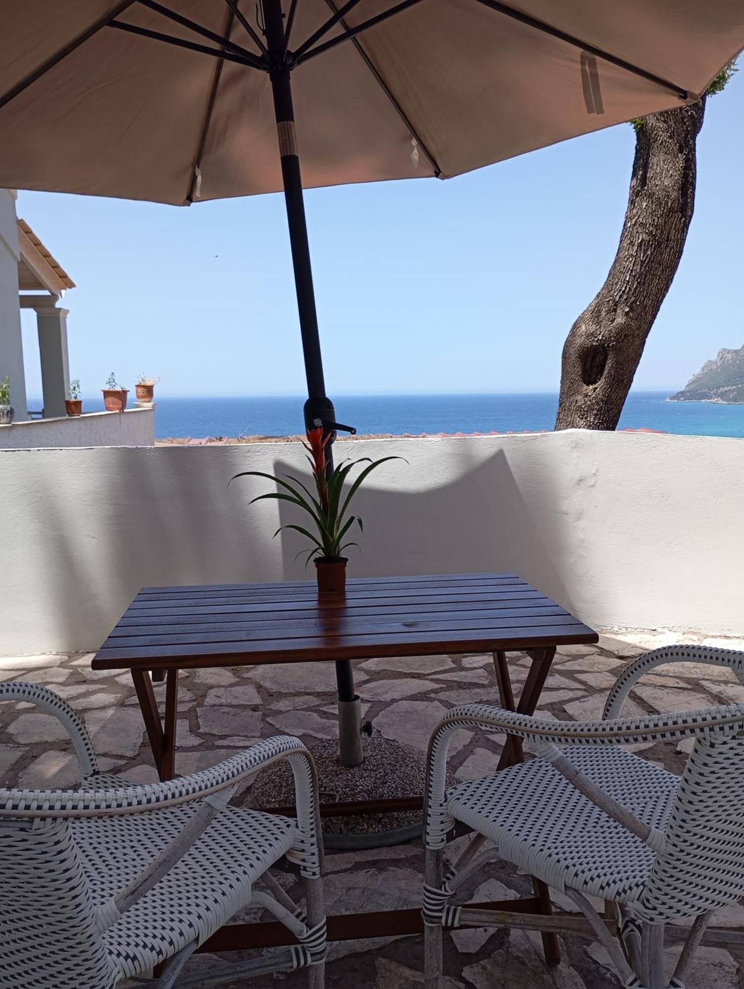 Vicky's Panoramic View