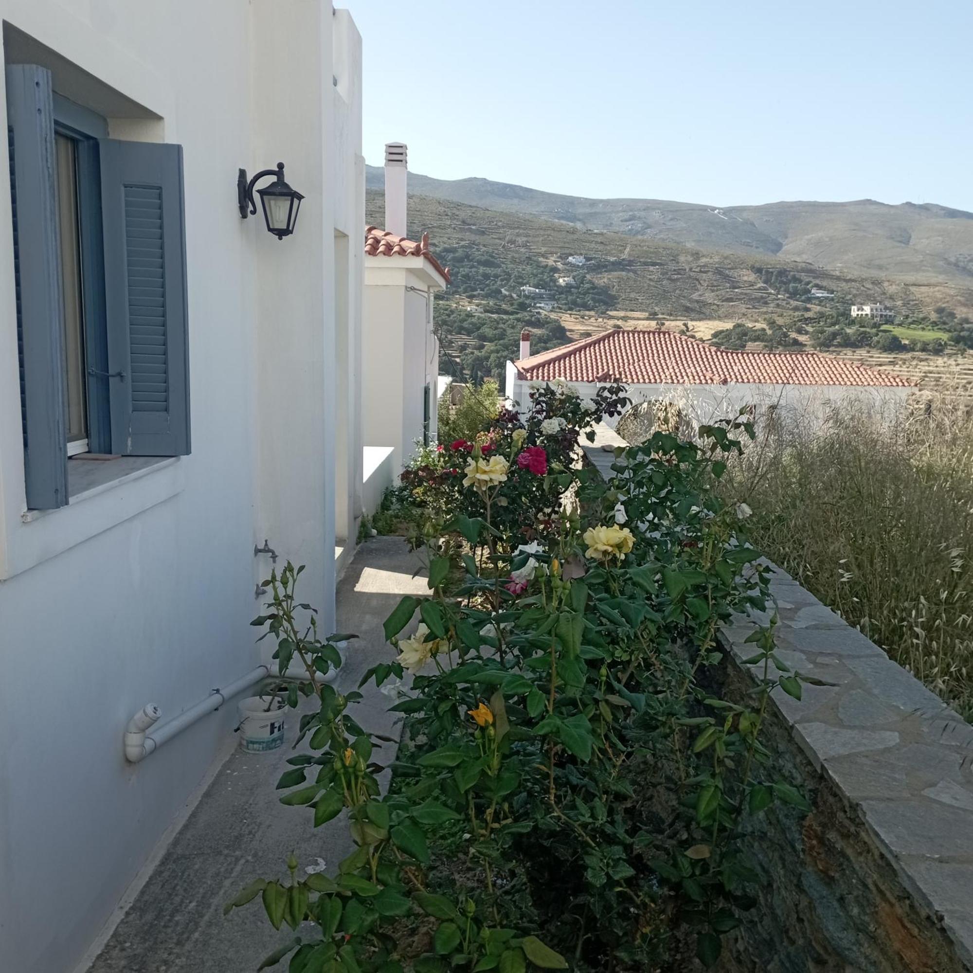 Captain's Nest Apartment Andros Town