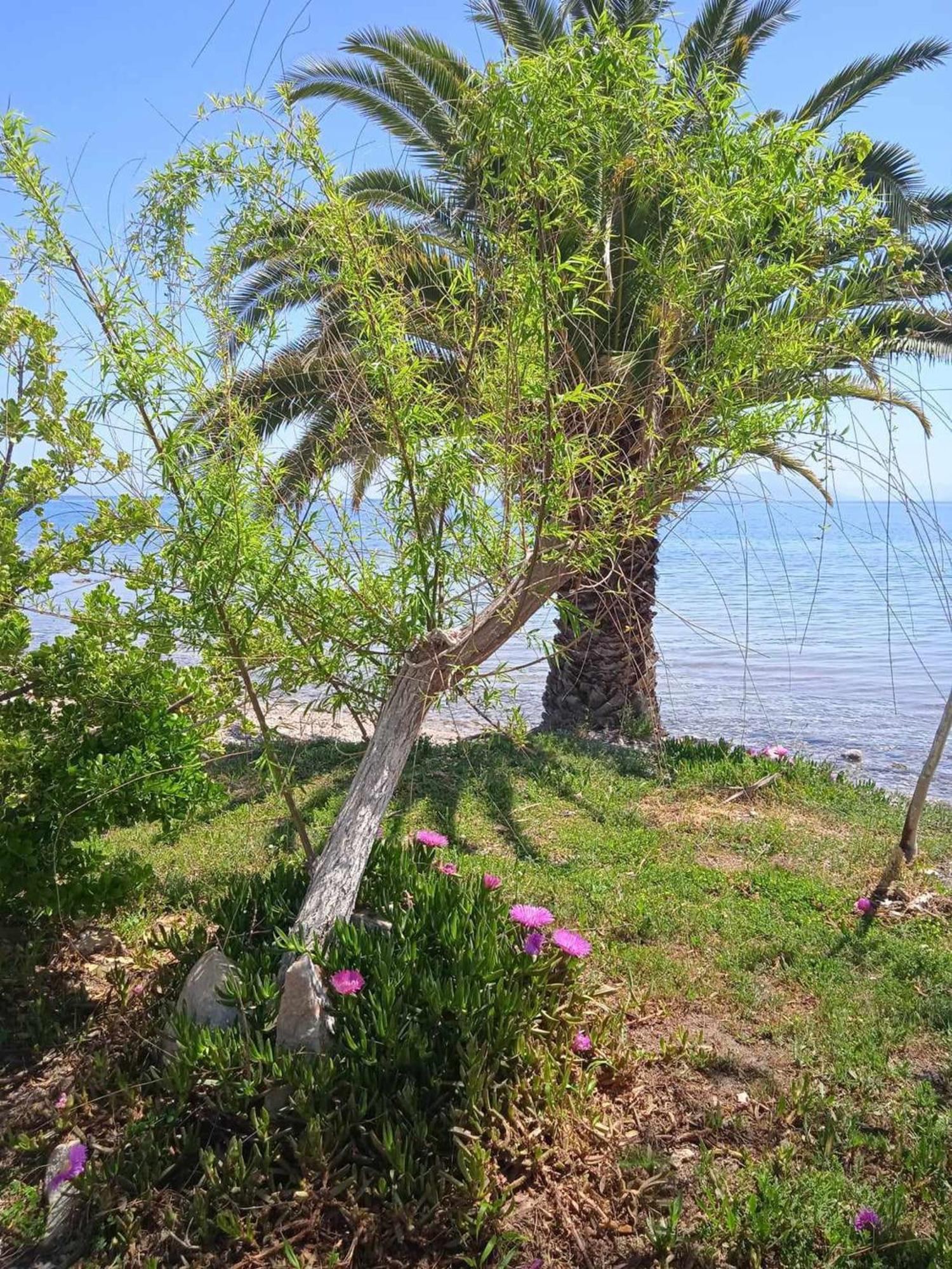 Alonaki Seafront Holiday home