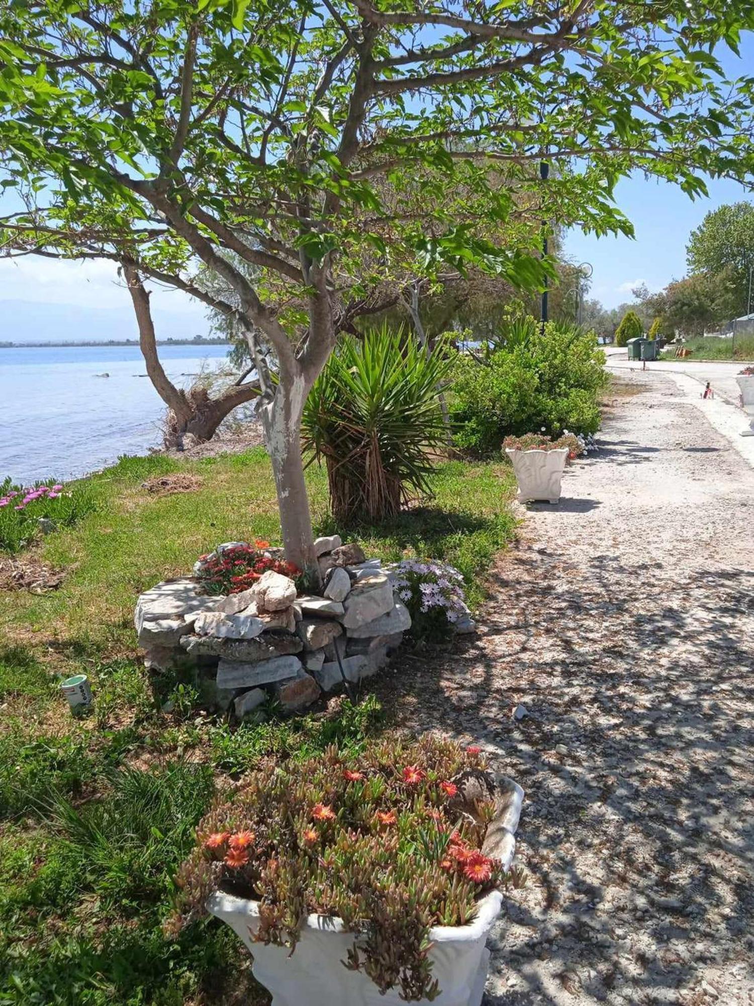 Alonaki Seafront Holiday home