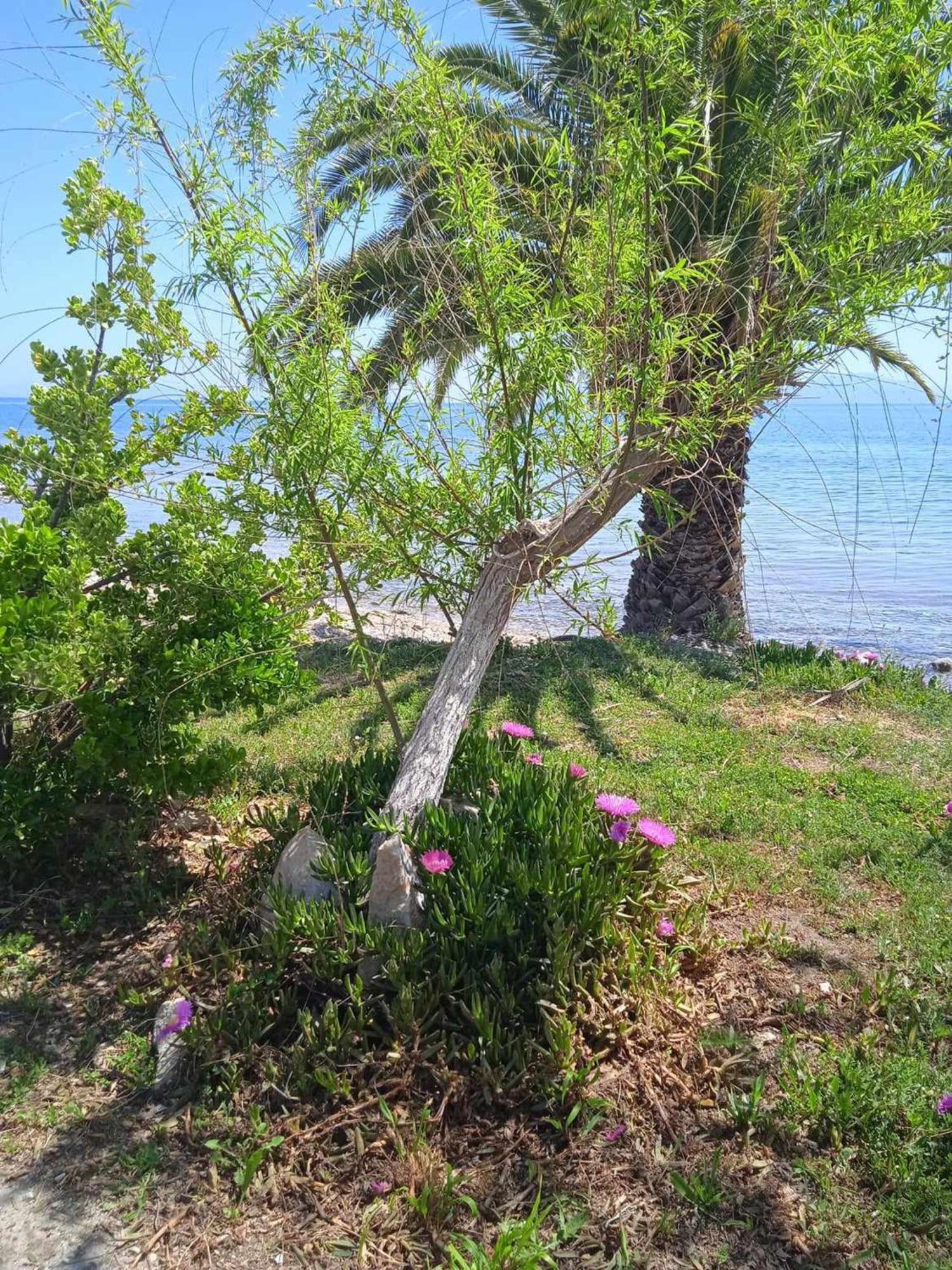 Alonaki Seafront Holiday home Nea Anchialos