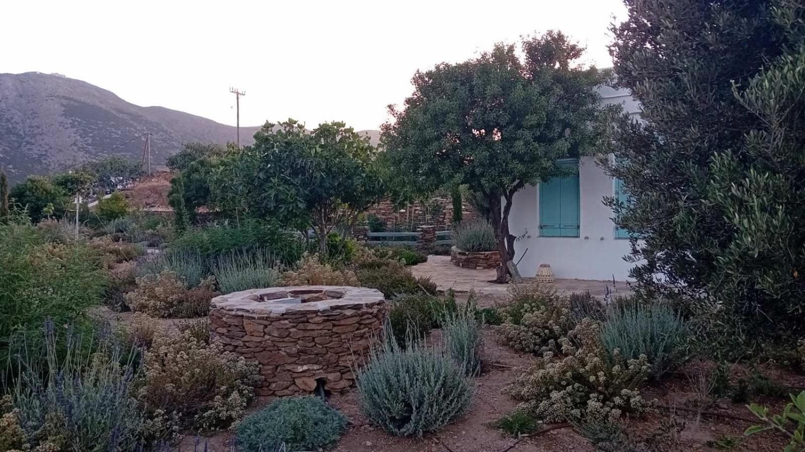 Holiday home Eco-luxe Retreat In Ano Petali, Sifnos