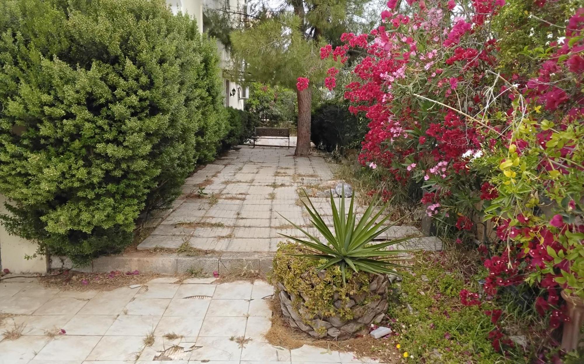 Peaceful Oasis * Athens