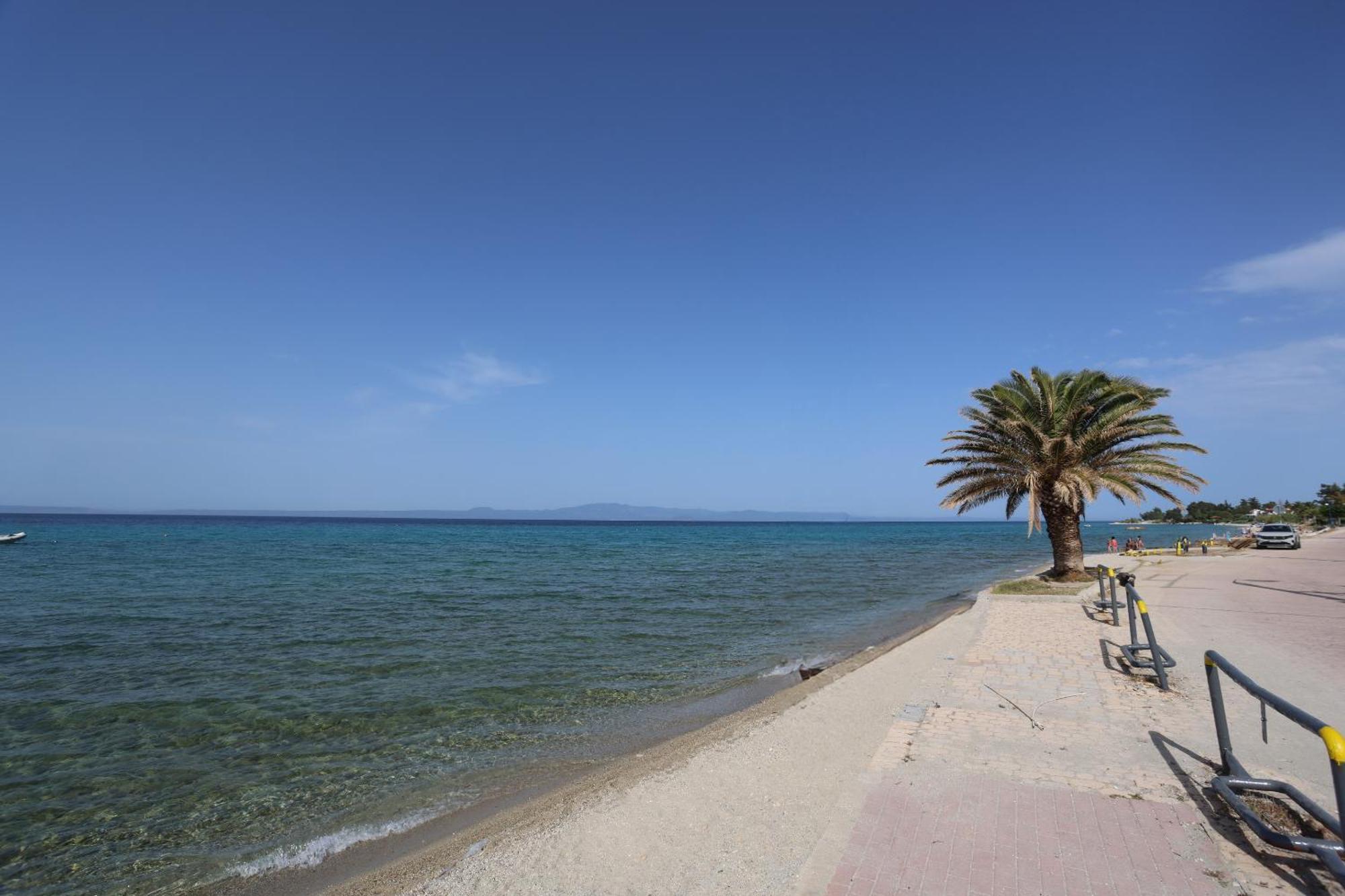 Mainavenue Palm Seaside