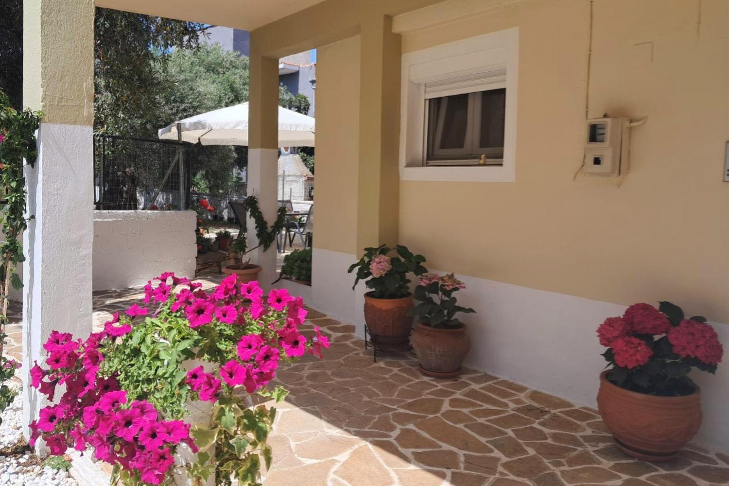 Apartment Moloha *
