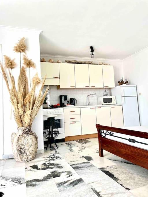 Bellissimo Naxos Apartment Naxos City