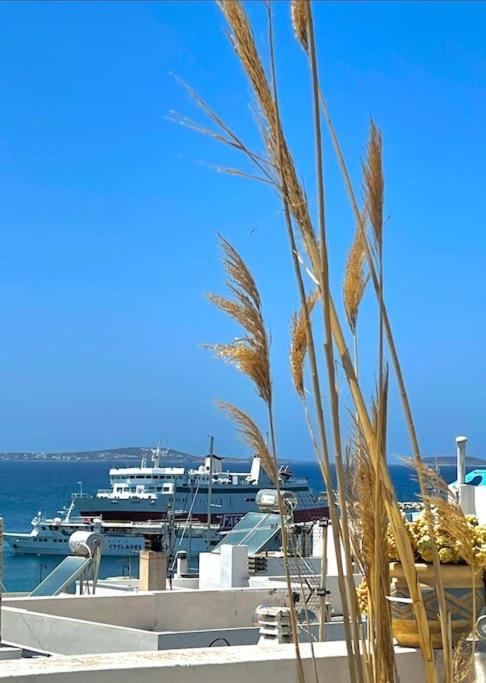 Bellissimo Naxos Apartment Naxos City