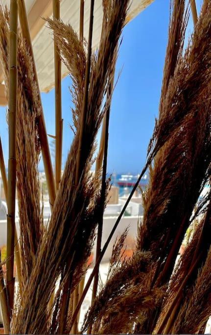 Bellissimo Naxos
