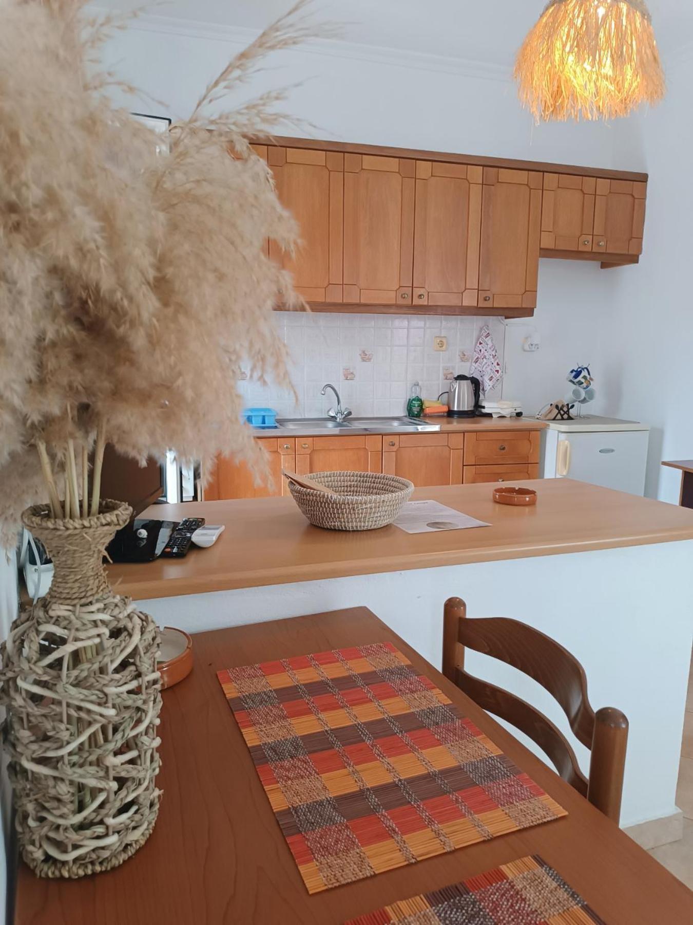 Apartment Ammoudeli Coastal Escape *