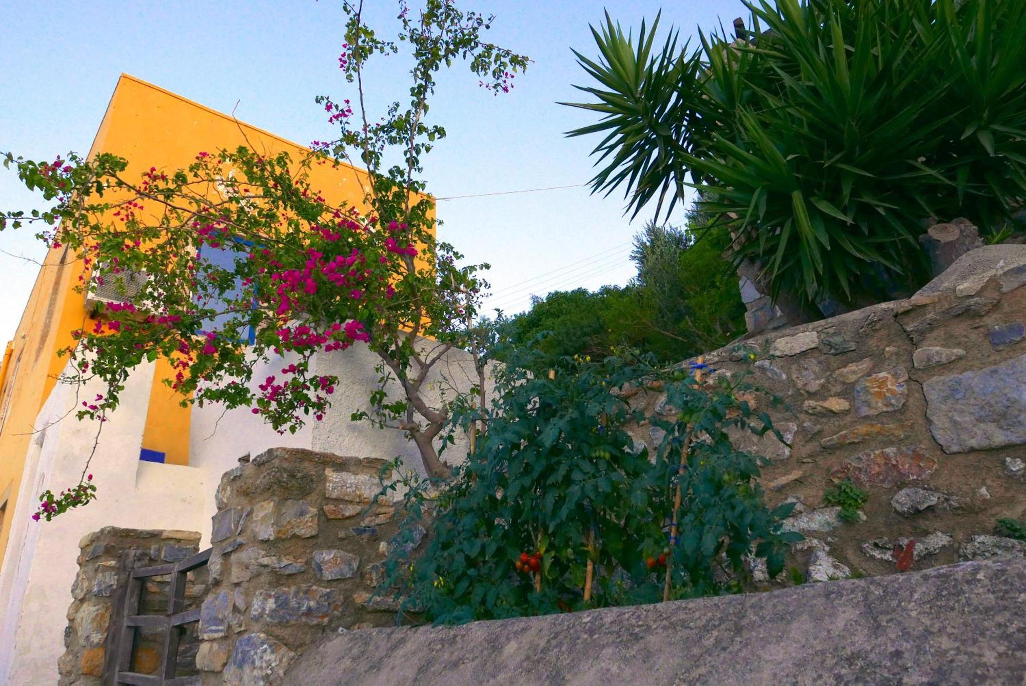 Holiday home Elegeo Rockhouse Agia Marina (Leros)